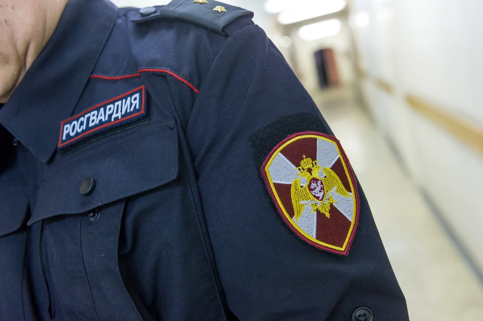 Поездка за аквариумными рыбками закончилась уголовным делом в Красносельском районе Петербурга.