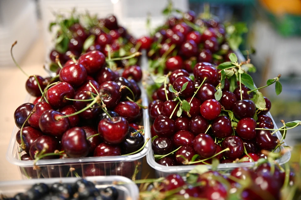 Вся продукция прошла строгий фитосанитарный контроль