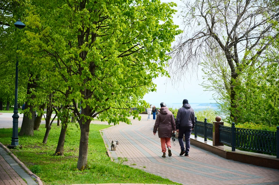 В центре Ульяновска может появиться скульптурная композиция «Симбирск»