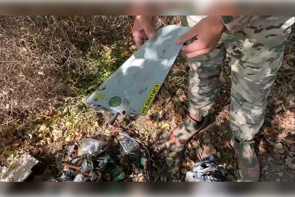 Несколько дронов ВСУ было сбито мобильной огневой группой у трассы Р-280. Фото: Народный фронт Херсонской области