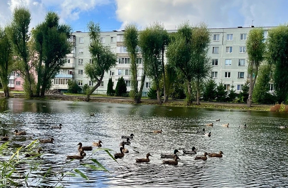 Фото: администрация Светлого.