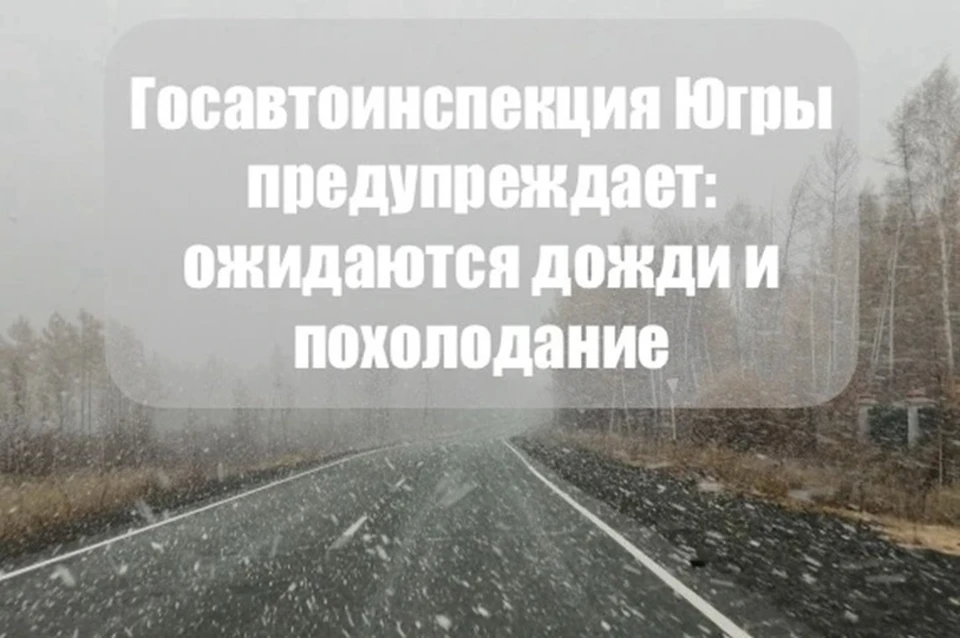 Фото: Госавтоинспекция ХМАО-Югры