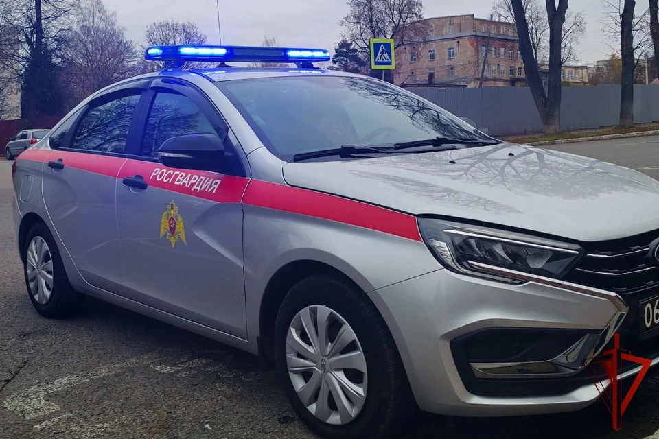 Ведется проверка.