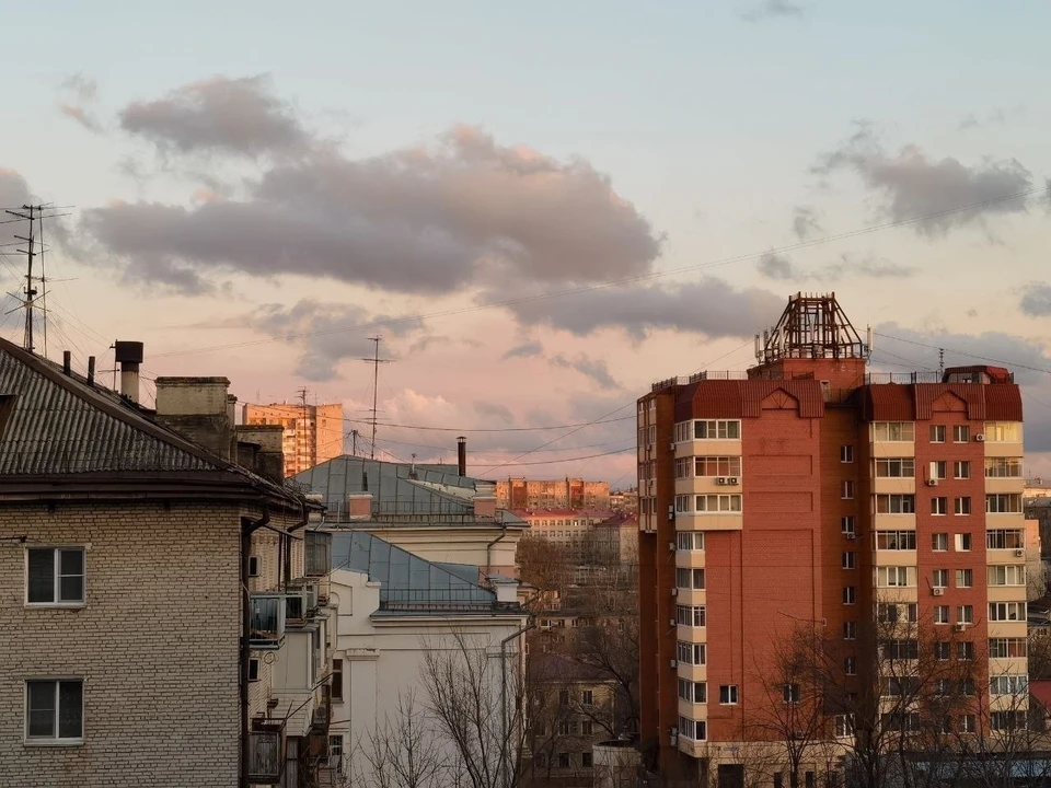 Фото: Кирилл Старков