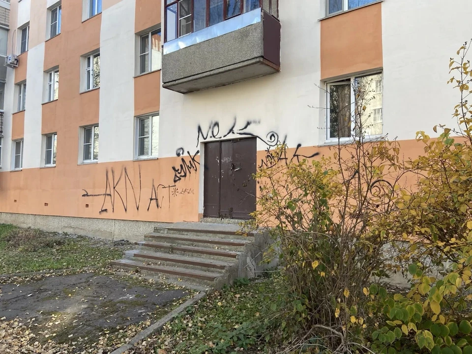 500 тысяч рублей заплатят родители подростков-вандалов из Арзамаса за граффити. Фото: Администрация г.о.г. Арзамас