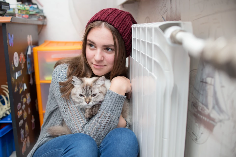 В Ульяновской области на федеральные средства купят 16 мобильных котельных