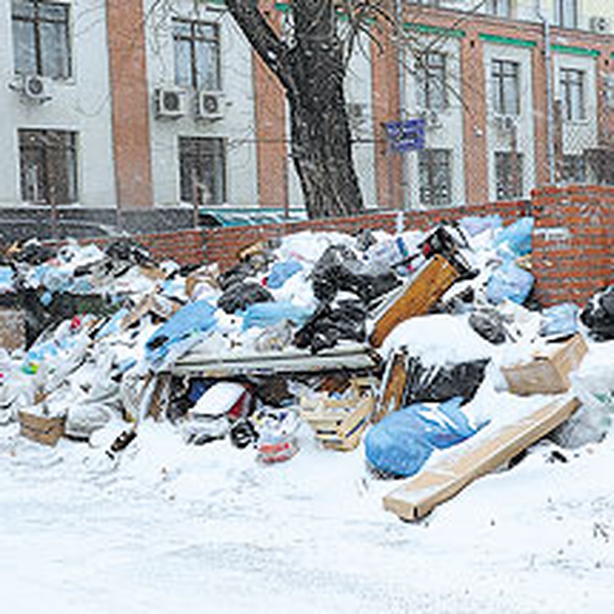 Для борьбы за чистоту в Новосибирске созданы опергруппы - KP.RU