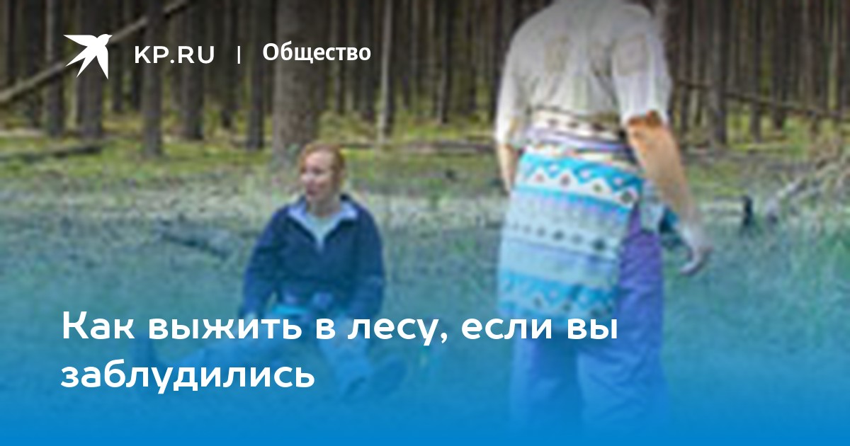 Что делать, если потерялись в лесу зимой | Новости GoProtect.ru