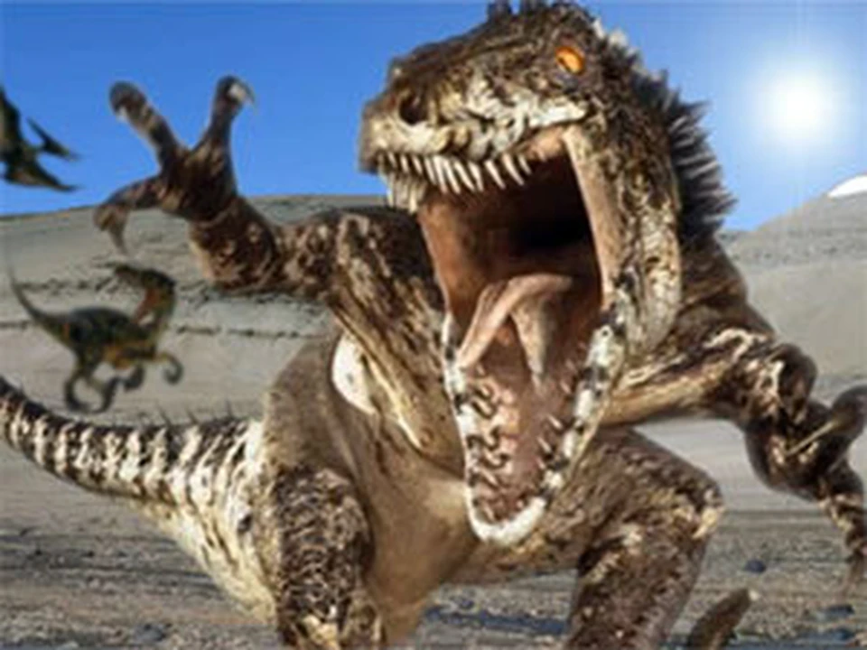 Отдыхая в Кузбассе, туристы из Новосибирска нашли останки динозавра