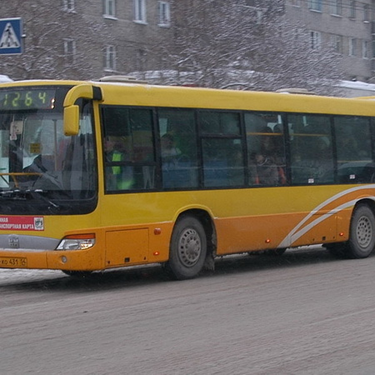 Новый автобус из Новосибирска до Краснообска стал кольцевым - KP.RU