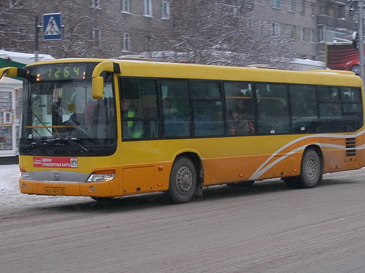 Новый автобус из Новосибирска до Краснообска стал кольцевым - KP.RU