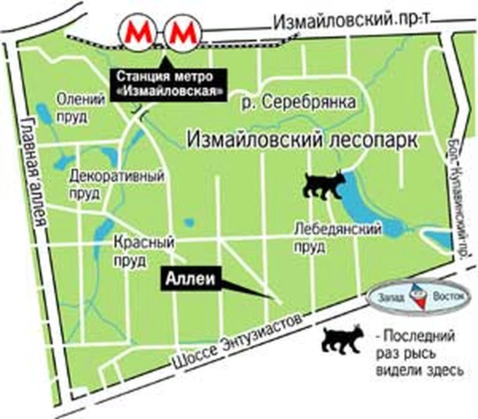 План измайловского парка в москве