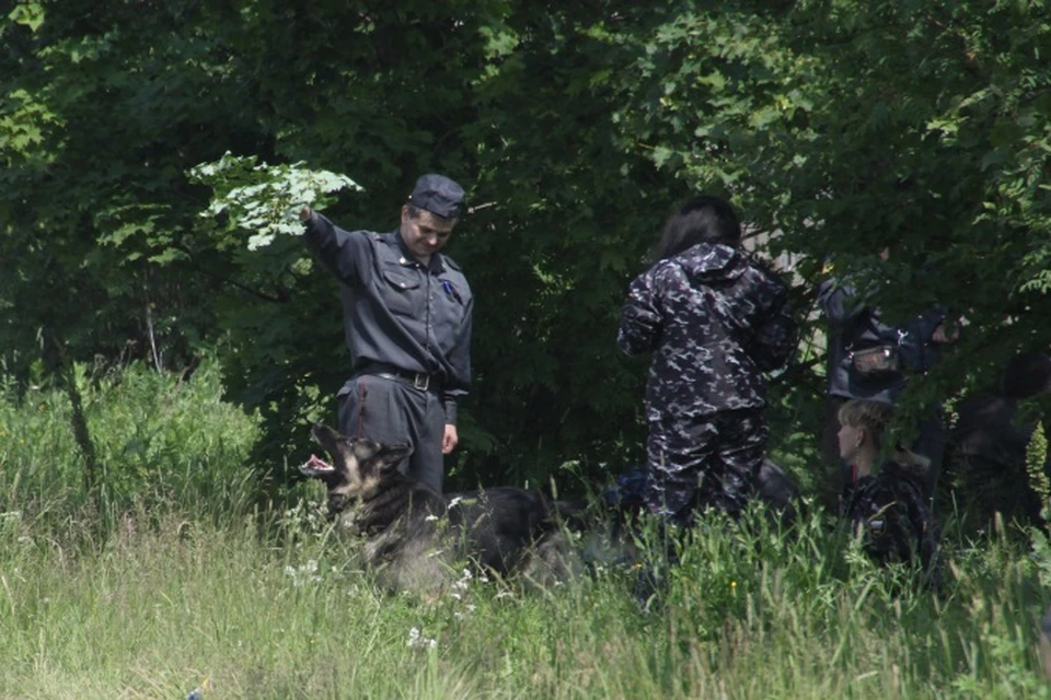 В поиске участвовали 25 представителей МЧС, 25 сотрудников полиции, около 300 военных, а также добровольцы.