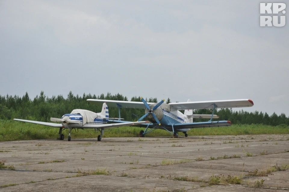 По словам Сергея Сотникова, Ан-2 и Як-18 стоят как раз на том месте, где 2 года назад приземлилась "тушка".