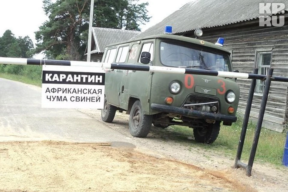 А чума всё распространяется