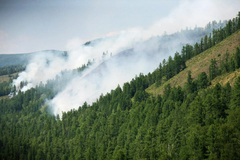 Сейчас в Сибири бушуют пожары, горит больше восьми тысяч гектаров леса. Тушить огонь забросили 400 десантников.