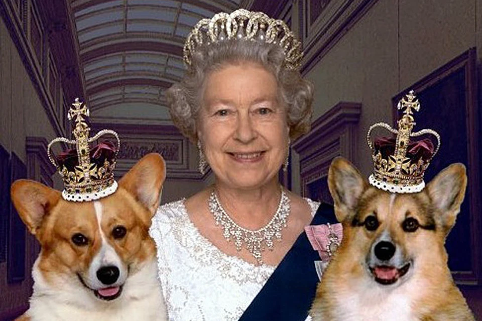 королева еще та любительница собак