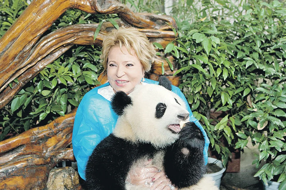 Валентина Матвиенко и годовалая панда нашли общий язык. Китайцы истолковали это как добрый знак.