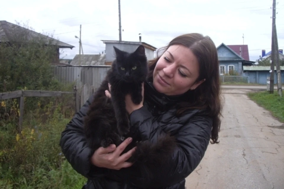 В частном секторе в районе Татарбазара Ижевска люди трое суток пытались спасти черного кота, залезшего на столб линий электропередач.