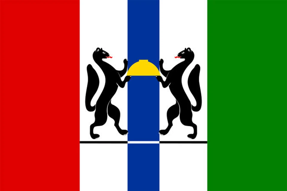 Флаг и герб Новосибирской области были утверждены соответствующими законами 25 июля 2003 года.
