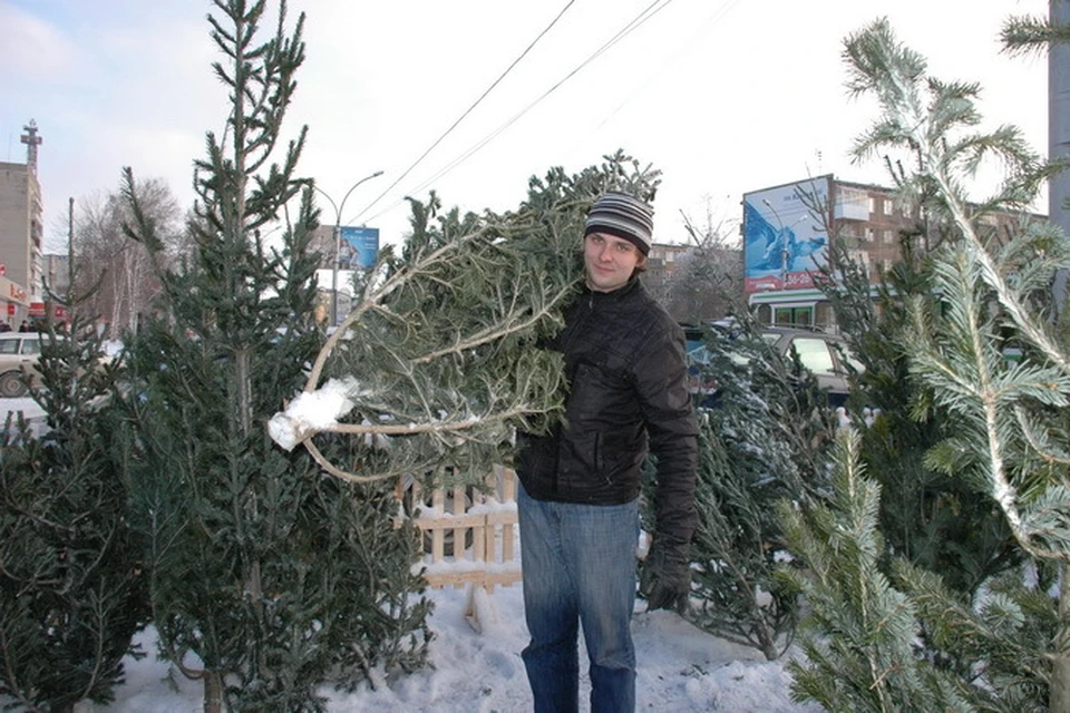 Заготовка Новогодних Елок