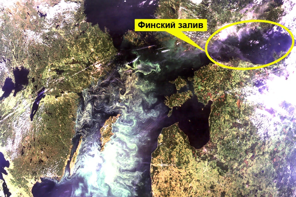 Даже из космоса видно, что Финский залив стал значительно чище