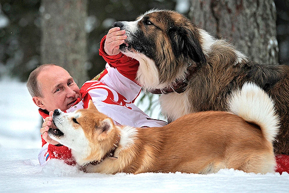 Фотографии президента с его собаками появились в интернете