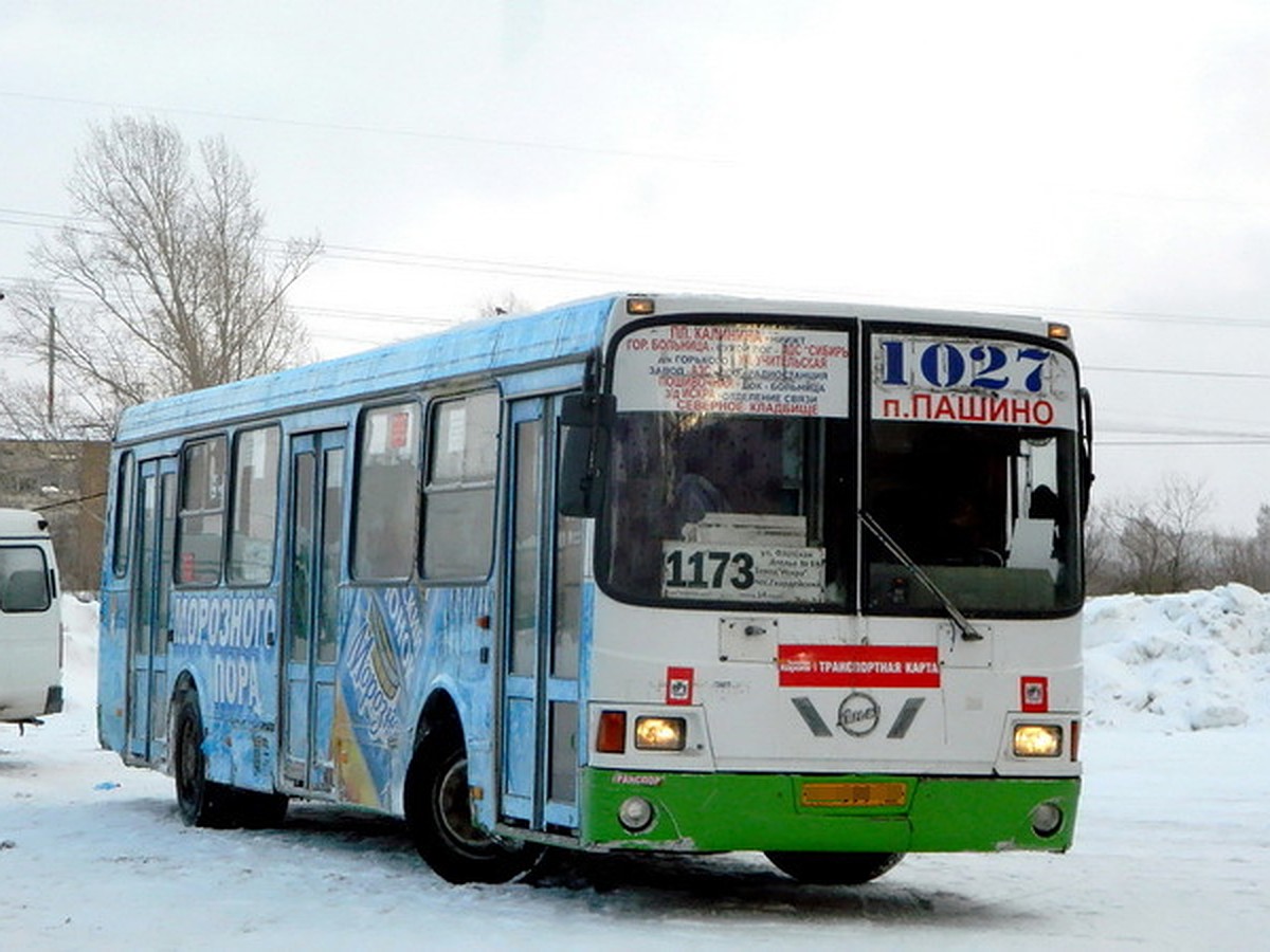 В Новосибирске девушка-кондуктор сорвалась под колеса автобуса - KP.RU