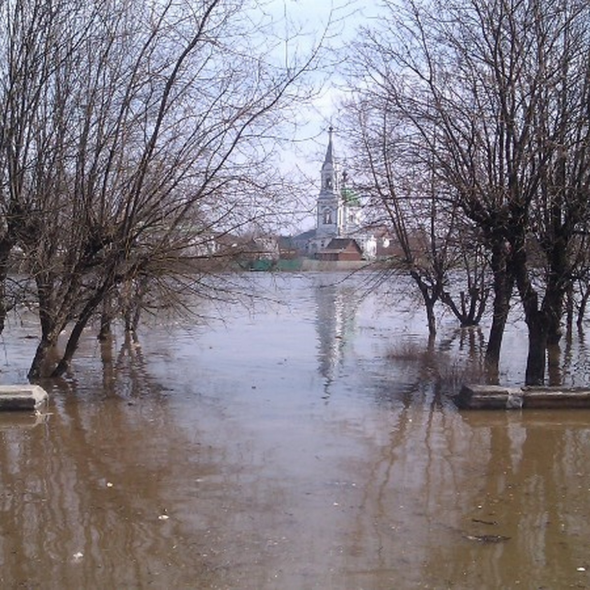 В Тверь пришла большая вода - KP.RU