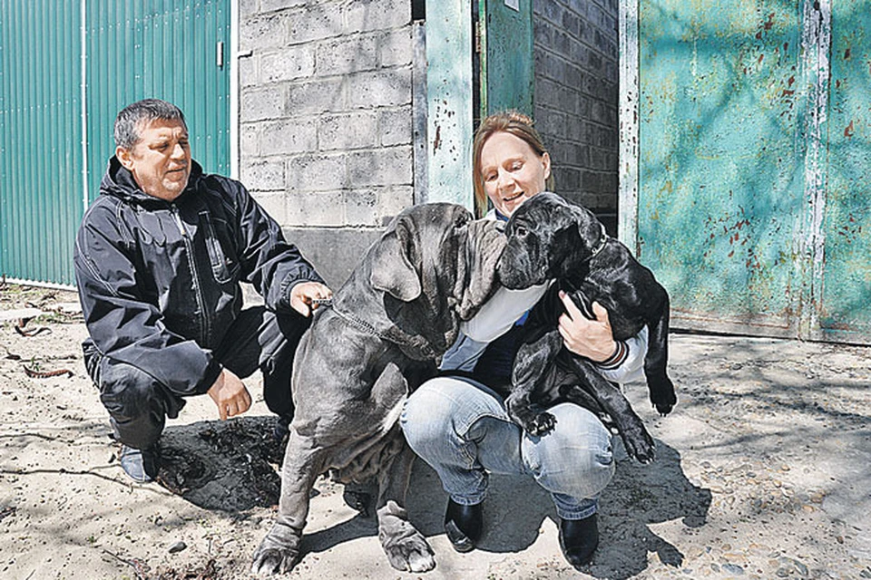 Ольга и Сергей с двумя своими питомцами, самыми смирными. Остальные устроили лай и сниматься не захотели.