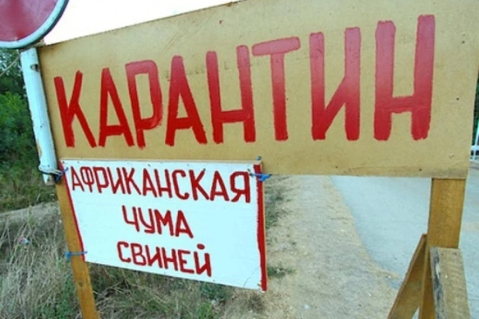 запрет на краснодарский шпик и белгородскую свинину наложил сельхознадзор Удмуртии