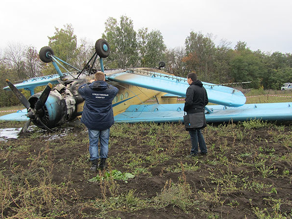 Пилот и пассажир рухнувшего под Белгородом «кукурузника» сбежали с места  крушения - KP.RU