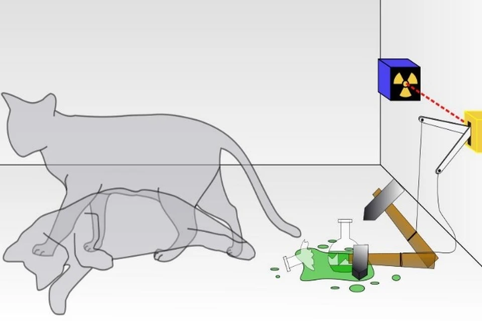 Интересные интерпретации эксперимента с котом Шредингера