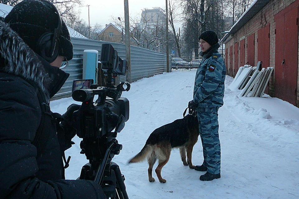 В Наро-Фоминском районе студенты помогали дежурным -KPRU