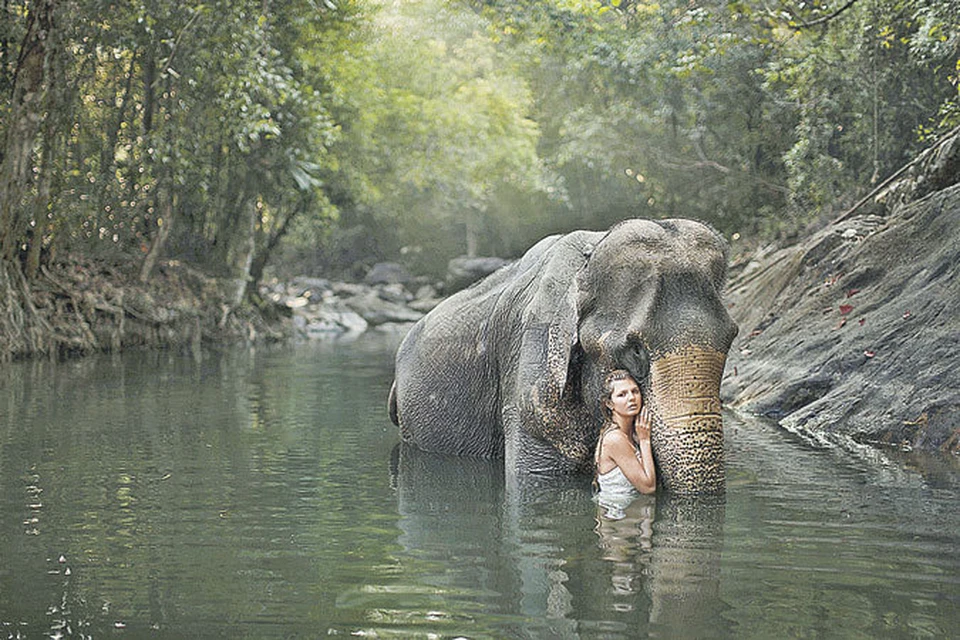 Ради этого кадра Катерине пришлось слетать в Таиланд. Все герои остались довольны, в том числе слон.