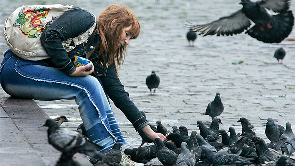 Почему кормят голубей. Человек кормит птиц. Кормить голубей. Девушка кормит голубей в парке. Люди кормят голубей.