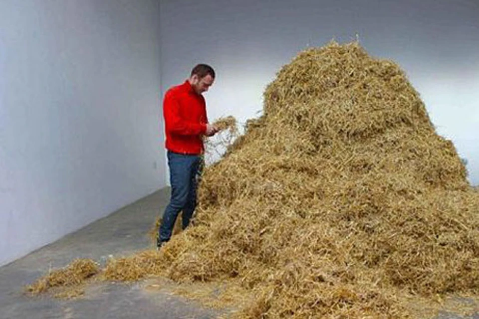 Итальянский художник Свен Сашалбер действительно  ищет иголку в стогу сена. ФОТО: www.palaisdetokyo.com