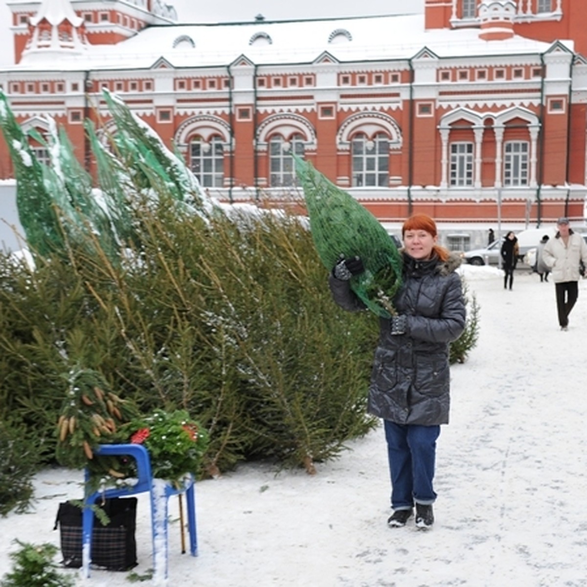 Где и за сколько в Перми можно купить живую елку - KP.RU