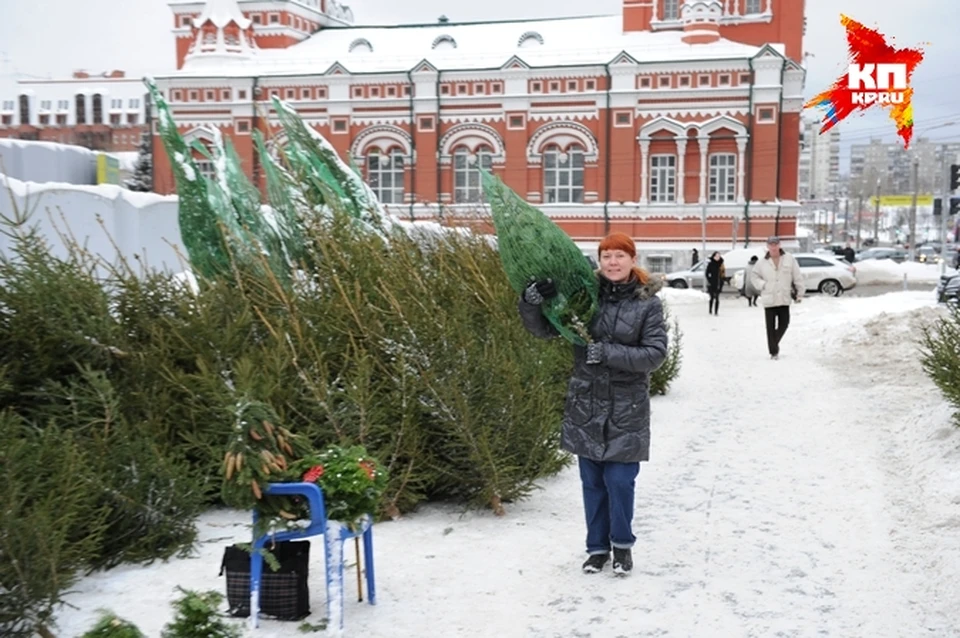 Ели живой человек. Живые елки в Перми.