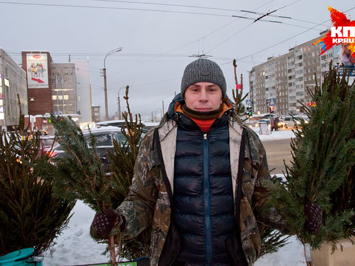 Елочки уже приехали, налетай! - KP.RU