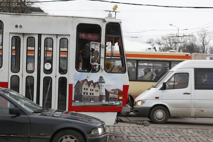 Новогодний «подарок» калининградцам: С 1 января проезд в автобусе подорожает на 20 процентов