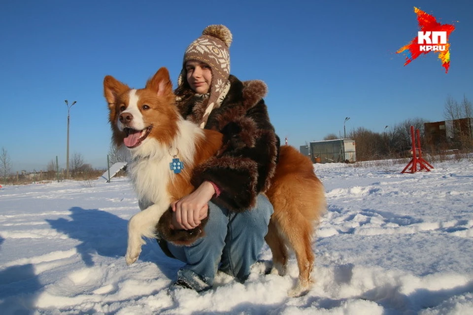 Чифтейн - первая официально признанная в Пскове собака-терапевт.
