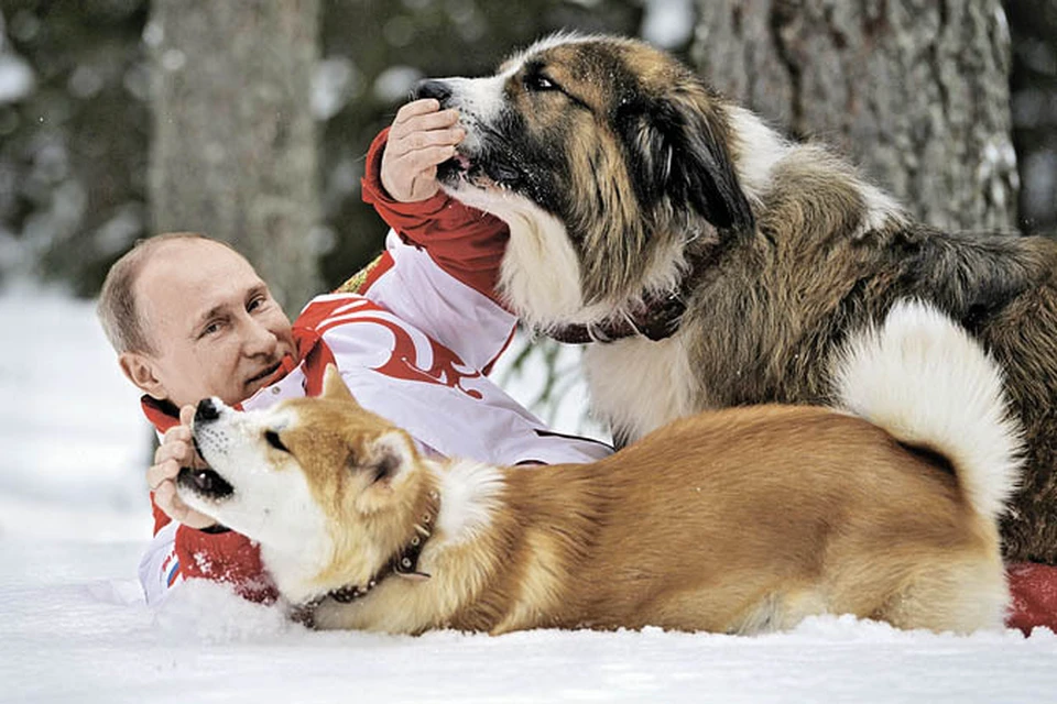 У Путина есть еще две собаки.