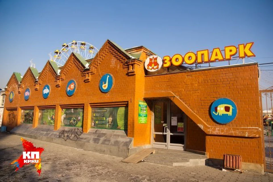 В этом году зоопарку Екатеринбурга исполнилось 85 лет.