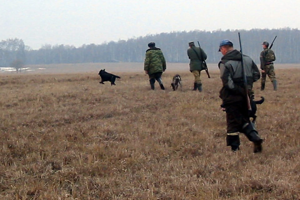 В Саратовской области открылся сезон охоты на кабанов: как оформить документы и не стать браконьером