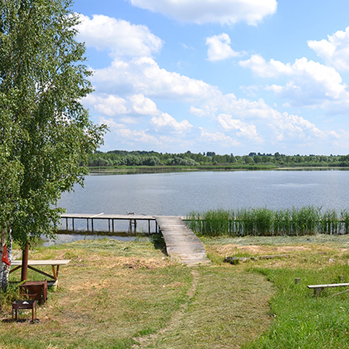 В Соколе купаемся, рыбачим и лихачим - KP.RU