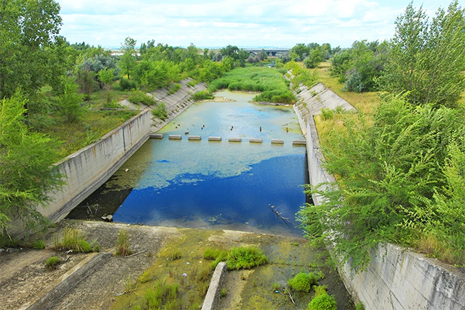 Черновское водохранилище высыхает и зарастает камышом.