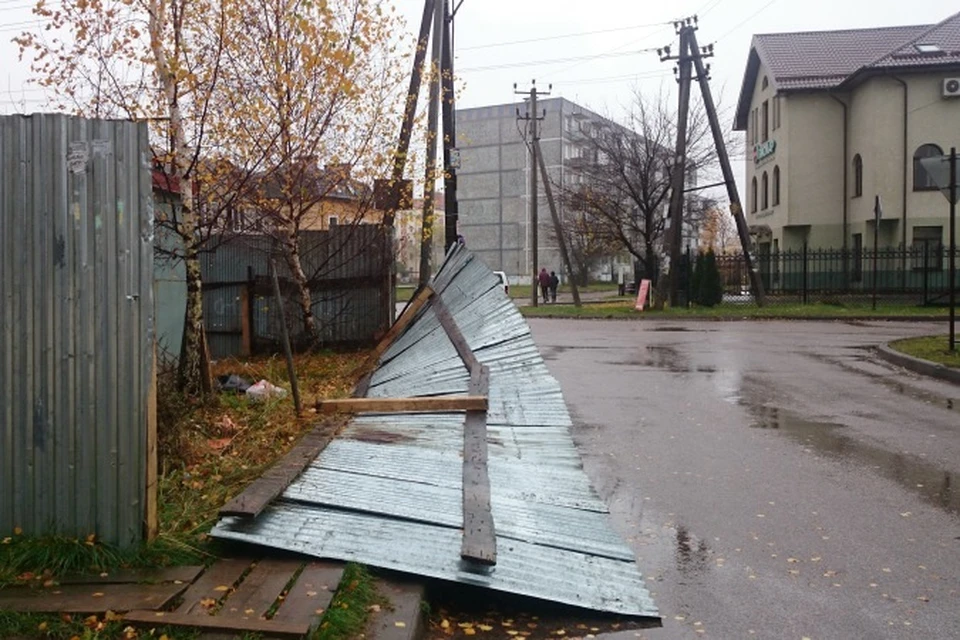 Ураган в калининграде сегодня