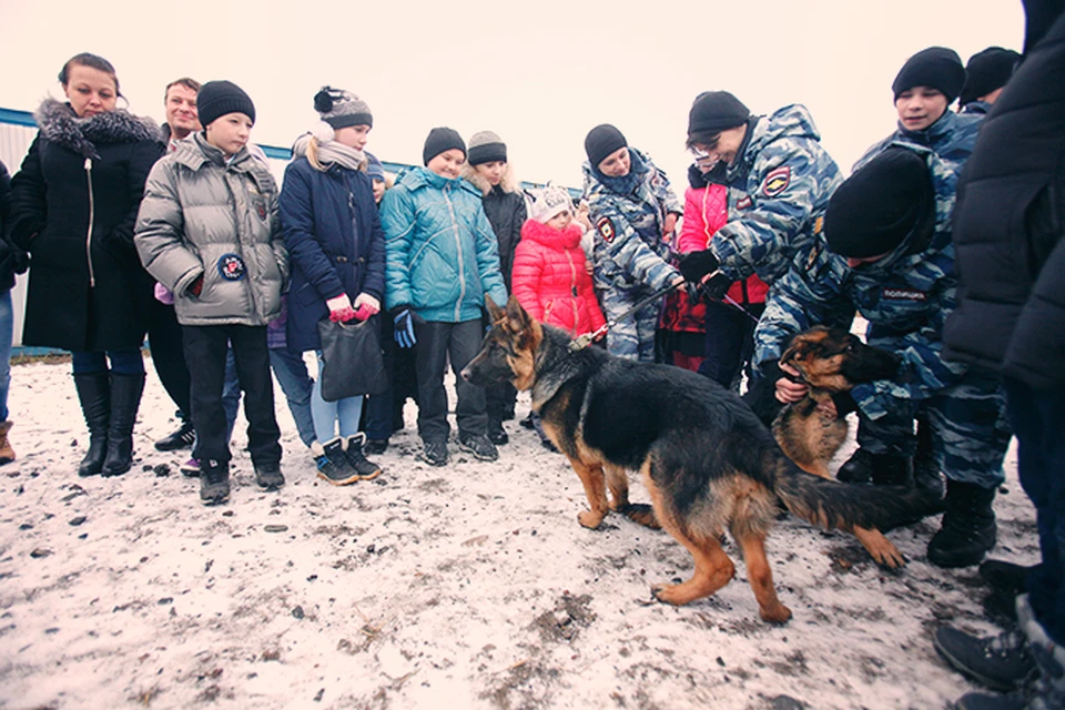 Посмотреть на служебных собак приехали дети из разных школ Ярославля