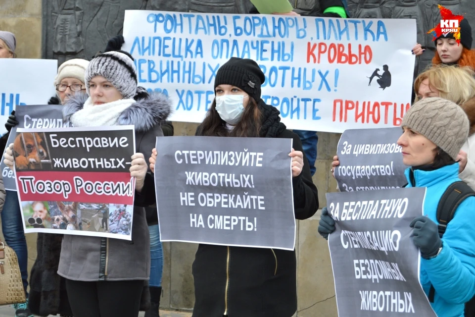 Против убивал. Акция против убийства коров. Пикет против Ковида. Скажи нет убийству животных.